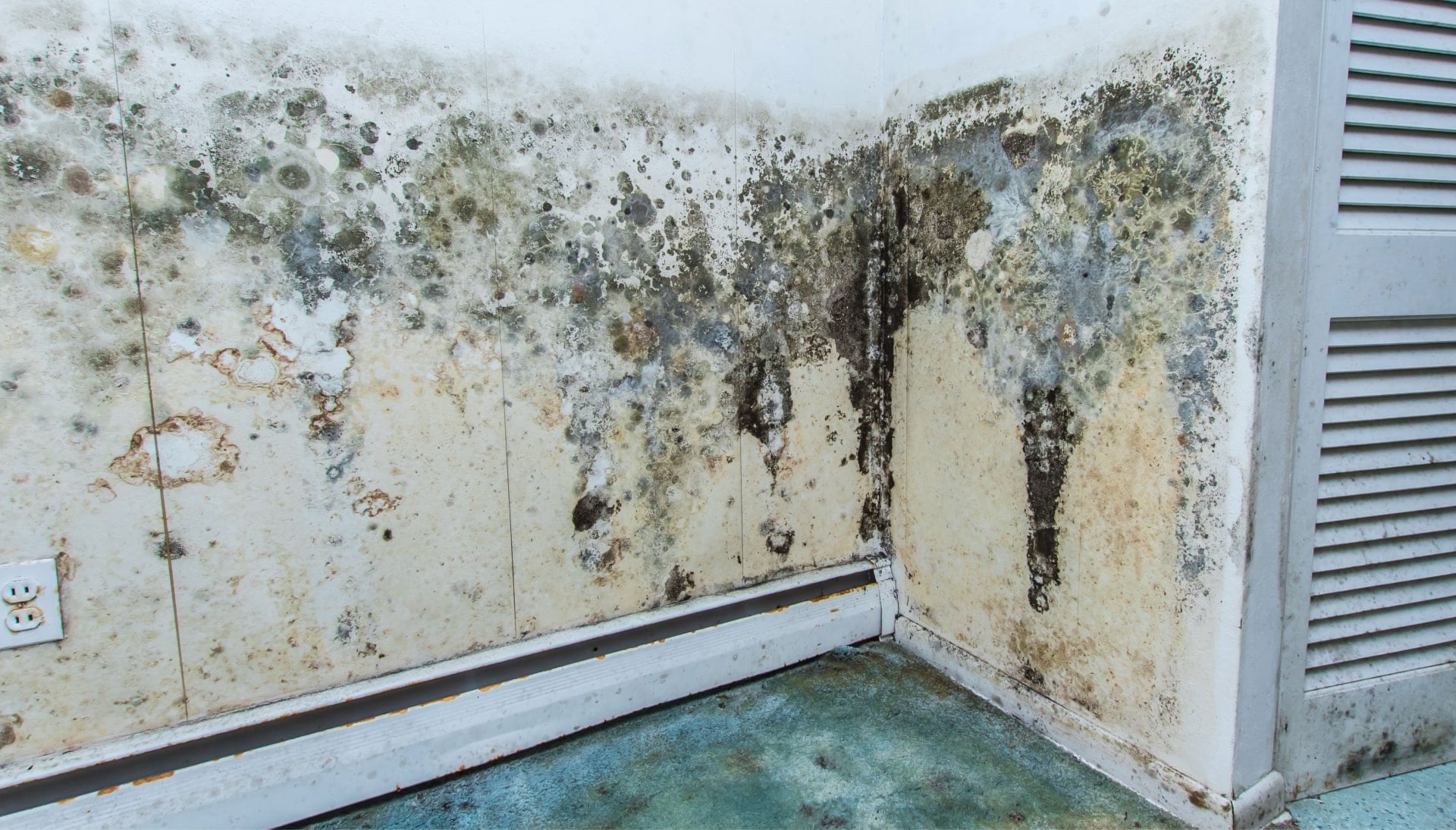 Mold Damage Odor Control Services in Savannah