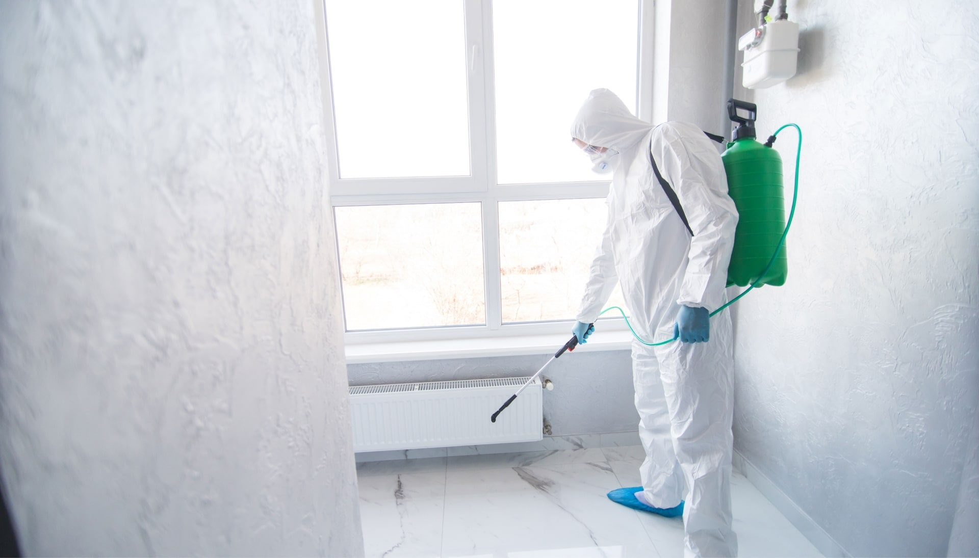 Mold Inspection Services in Savannah
